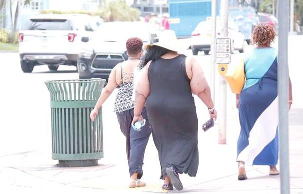 美国拒肥胖者入境,美国拒肥胖者入境的原因