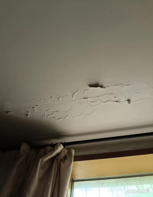 4楼抛24斤衣物砸伤人，4楼抛24斤衣物砸伤人怎么办