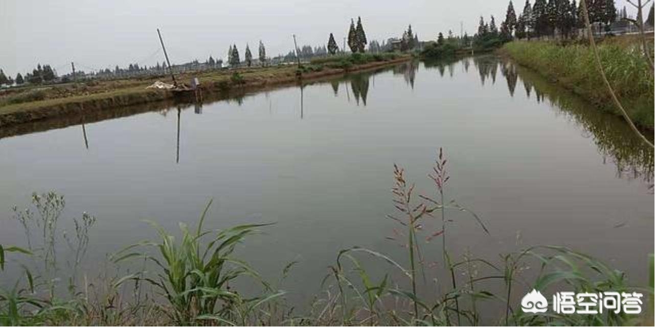 小车被大风吹进水塘,小车被大风吹进水塘怎么办 小车被大风吹进水塘,小车被大风吹进水塘怎么办