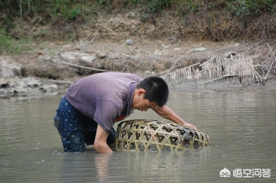 小车被大风吹进水塘,小车被大风吹进水塘怎么办 小车被大风吹进水塘,小车被大风吹进水塘怎么办