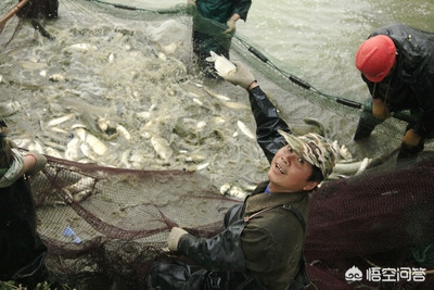 小车被大风吹进水塘,小车被大风吹进水塘怎么办 小车被大风吹进水塘,小车被大风吹进水塘怎么办