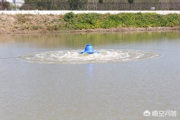 小车被大风吹进水塘,小车被大风吹进水塘怎么办 小车被大风吹进水塘,小车被大风吹进水塘怎么办