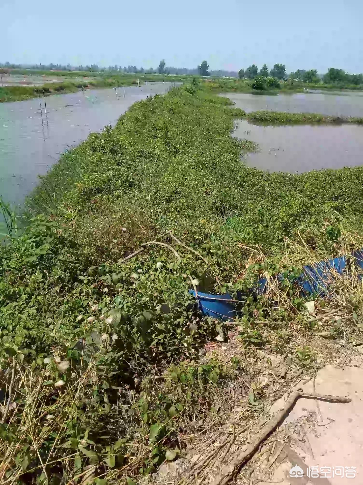 小车被大风吹进水塘,小车被大风吹进水塘怎么办 小车被大风吹进水塘,小车被大风吹进水塘怎么办