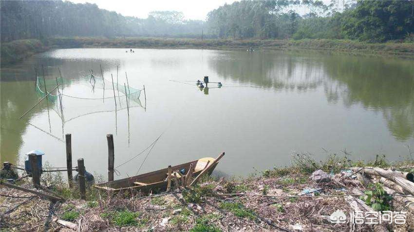 小车被大风吹进水塘,小车被大风吹进水塘怎么办 小车被大风吹进水塘,小车被大风吹进水塘怎么办