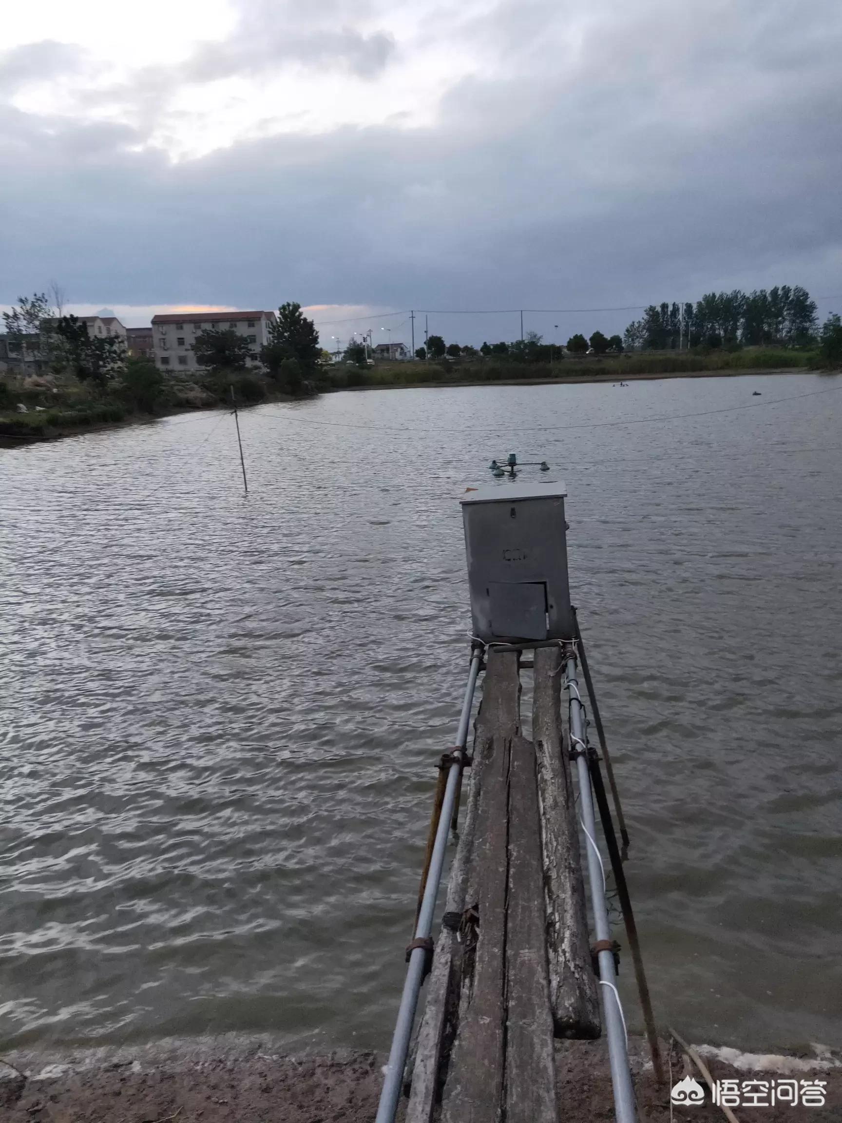 小车被大风吹进水塘,小车被大风吹进水塘怎么办 小车被大风吹进水塘,小车被大风吹进水塘怎么办