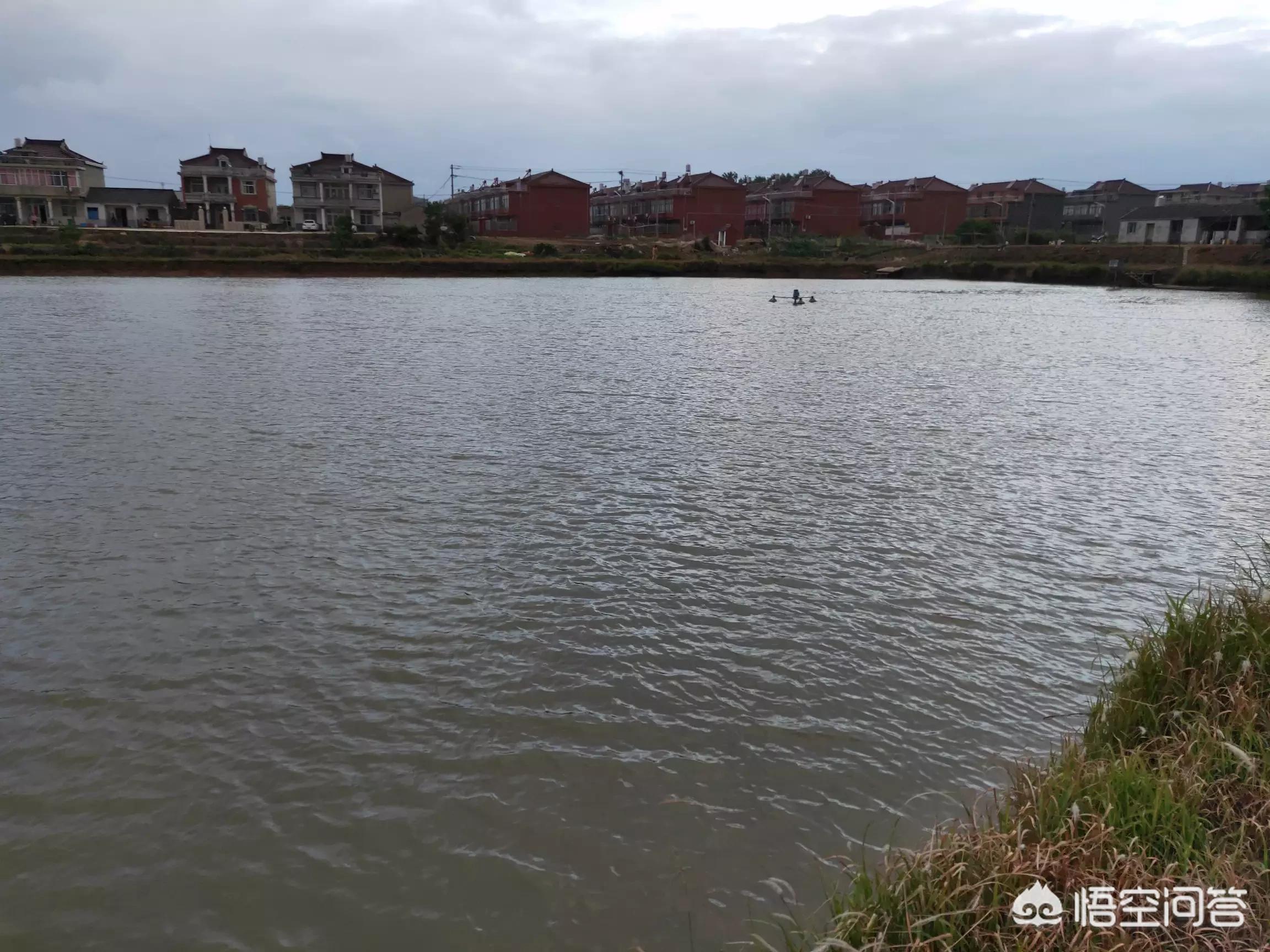 小车被大风吹进水塘,小车被大风吹进水塘怎么办 小车被大风吹进水塘,小车被大风吹进水塘怎么办