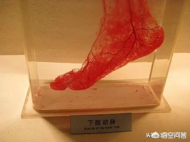 10岁娃诊所输液身亡,10岁娃诊所输液身亡怎么赔偿 10岁娃诊所输液身亡,10岁娃诊所输液身亡怎么赔偿