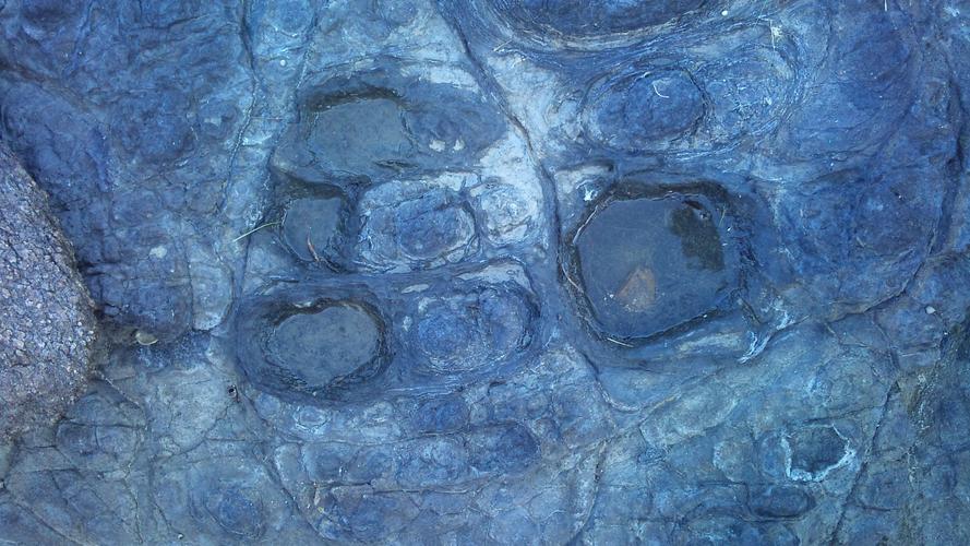 四川现迷你恐龙足迹，四川现迷你恐龙足迹图片