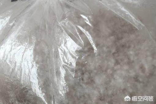 日拆70件羽绒服翻新，日拆70件羽绒服翻新多少钱