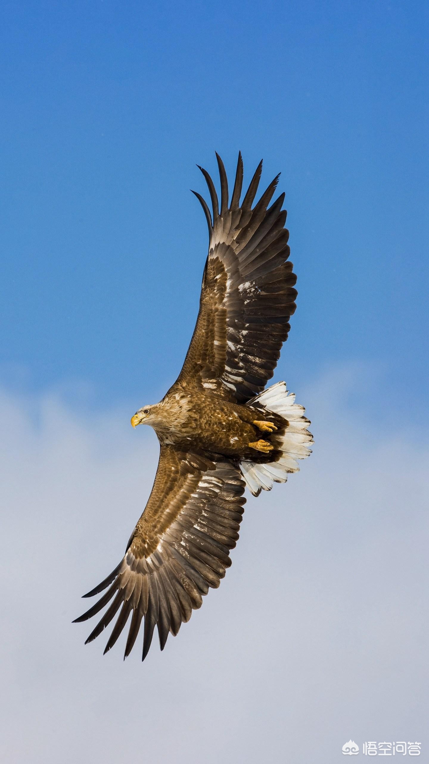 马龙说着说着快哭了,马龙说着说着快哭了视频 马龙说着说着快哭了,马龙说着说着快哭了视频