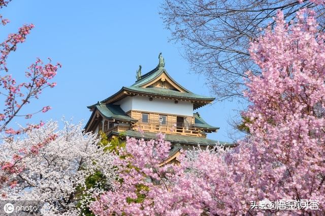 马龙说着说着快哭了,马龙说着说着快哭了视频 马龙说着说着快哭了,马龙说着说着快哭了视频