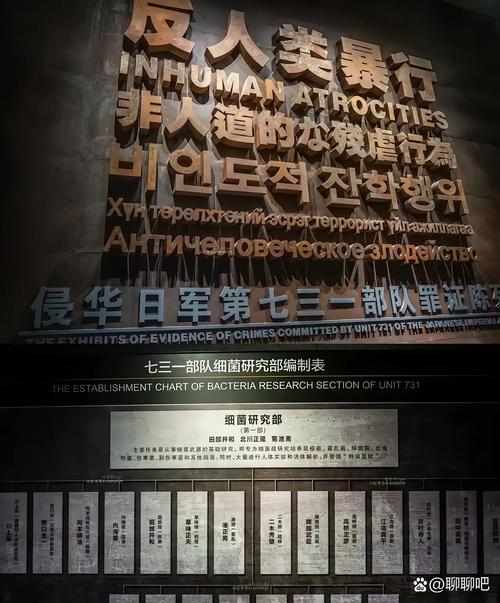 日本再次面临抉择，日本再次面临抉择是什么