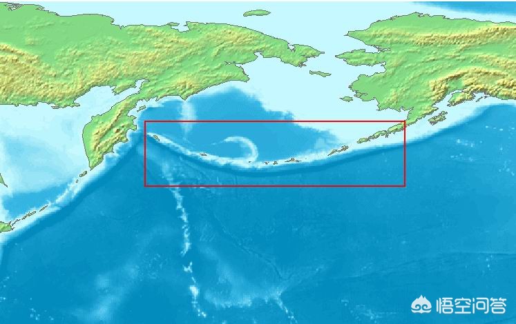 日本100只狗葬身火海,日本100只狗葬身火海的电影 日本100只狗葬身火海,日本100只狗葬身火海的电影