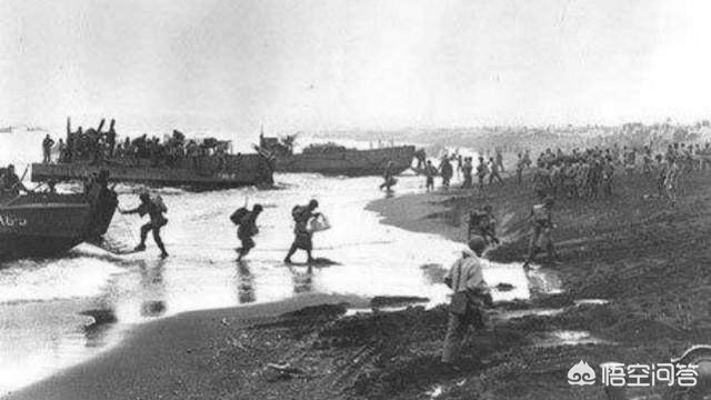 日本100只狗葬身火海,日本100只狗葬身火海的电影 日本100只狗葬身火海,日本100只狗葬身火海的电影