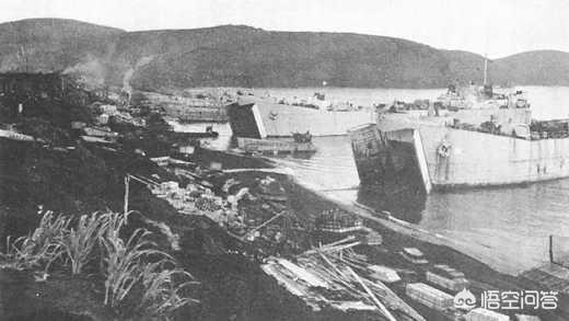 日本100只狗葬身火海,日本100只狗葬身火海的电影 日本100只狗葬身火海,日本100只狗葬身火海的电影