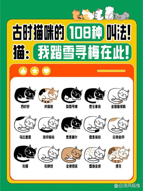 古人养猫要先签合同，古人养猫要先签合同吗