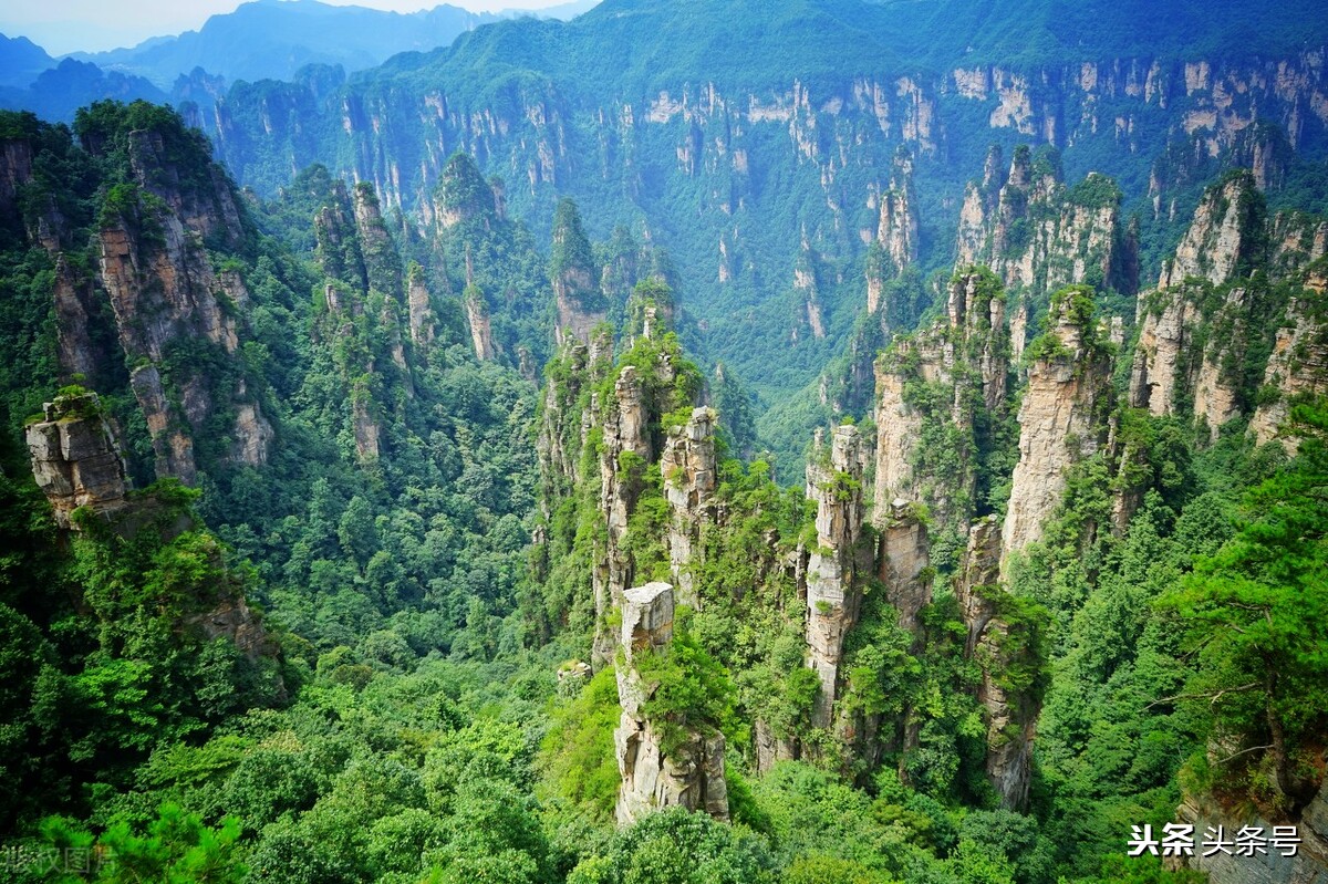 下届全运会湖南举办,全运会 湖南举办 下届全运会湖南举办,全运会 湖南举办