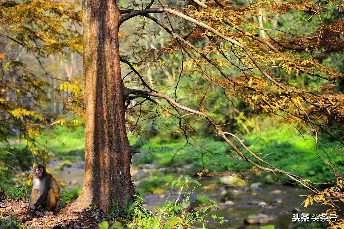 下届全运会湖南举办,全运会 湖南举办 下届全运会湖南举办,全运会 湖南举办