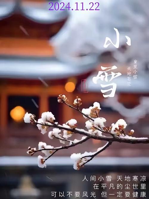 小雪至 冬始俏，小雪至 冬始俏图片