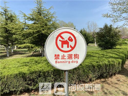 明年遛狗不拴绳违法，明年遛狗不拴绳违法吗