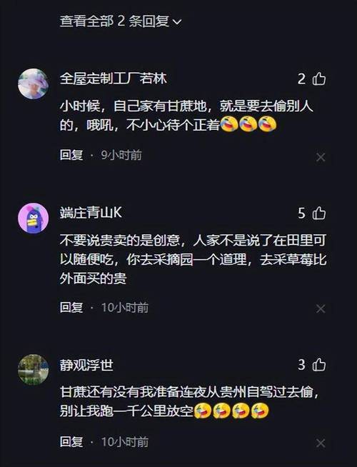 9.9元偷甘蔗走红，偷甘蔗新闻