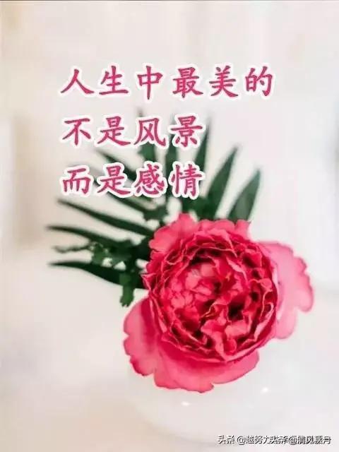 婚前同居属家庭成员,婚前同居属家庭成员怎么办 婚前同居属家庭成员,婚前同居属家庭成员怎么办