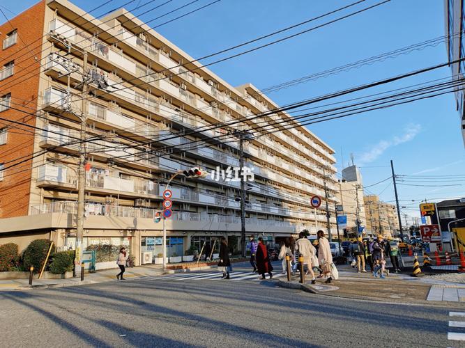 日本演唱会在华暂停，日本演唱会地点