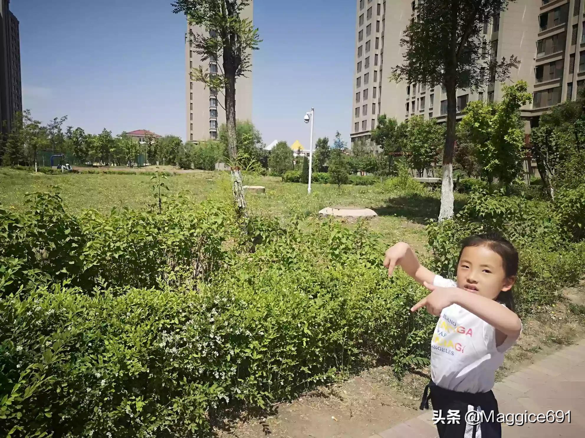 幼儿园私自给娃抽血,幼儿园私自给娃抽血违法吗 幼儿园私自给娃抽血,幼儿园私自给娃抽血违法吗