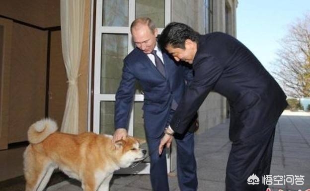 日本夺岛方案曝光,日本夺岛方案曝光专家解读 日本夺岛方案曝光,日本夺岛方案曝光专家解读