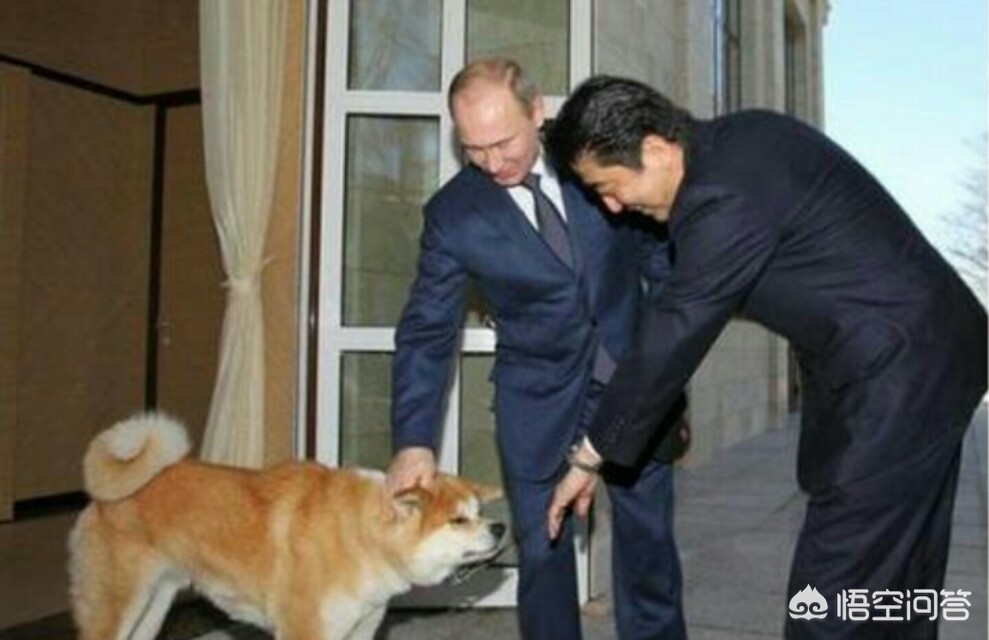 日本夺岛方案曝光,日本夺岛方案曝光专家解读 日本夺岛方案曝光,日本夺岛方案曝光专家解读