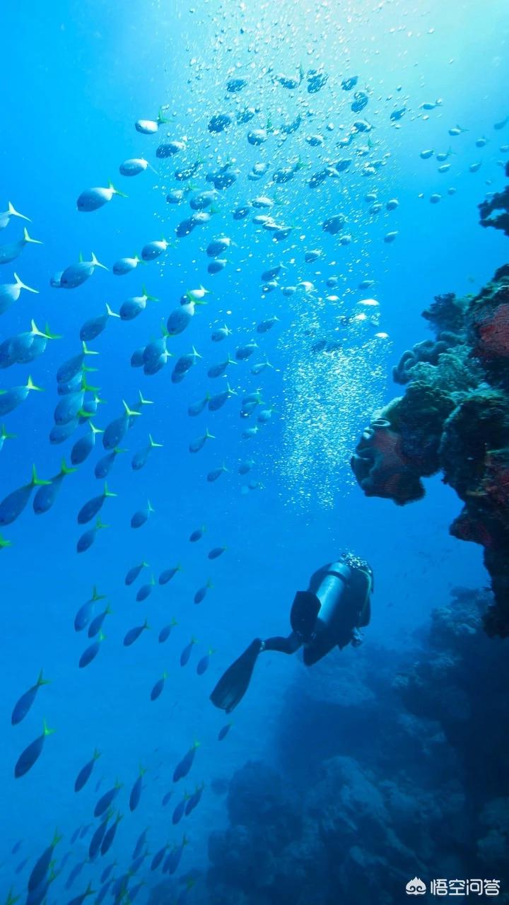 香港先后拘捕8人,香港先后拘捕8人案件 香港先后拘捕8人,香港先后拘捕8人案件