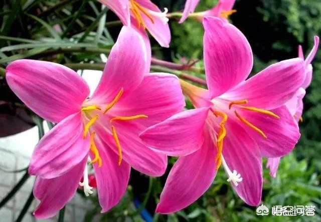 行长违法放贷5亿元,行长违法放贷5亿元怎么处理 行长违法放贷5亿元,行长违法放贷5亿元怎么处理