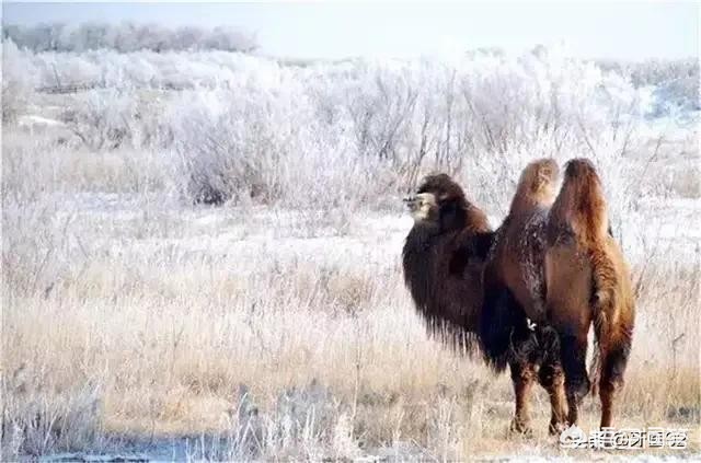 行长违法放贷5亿元,行长违法放贷5亿元怎么处理 行长违法放贷5亿元,行长违法放贷5亿元怎么处理