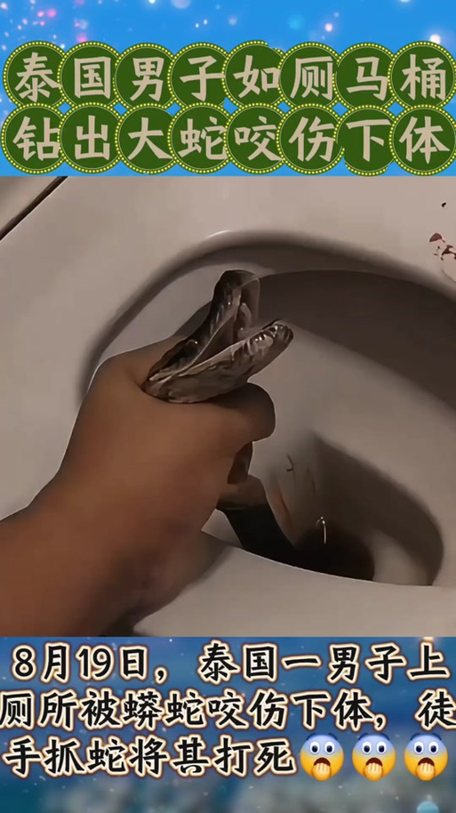 男子频繁30秒如厕，男子频繁30秒如厕视频