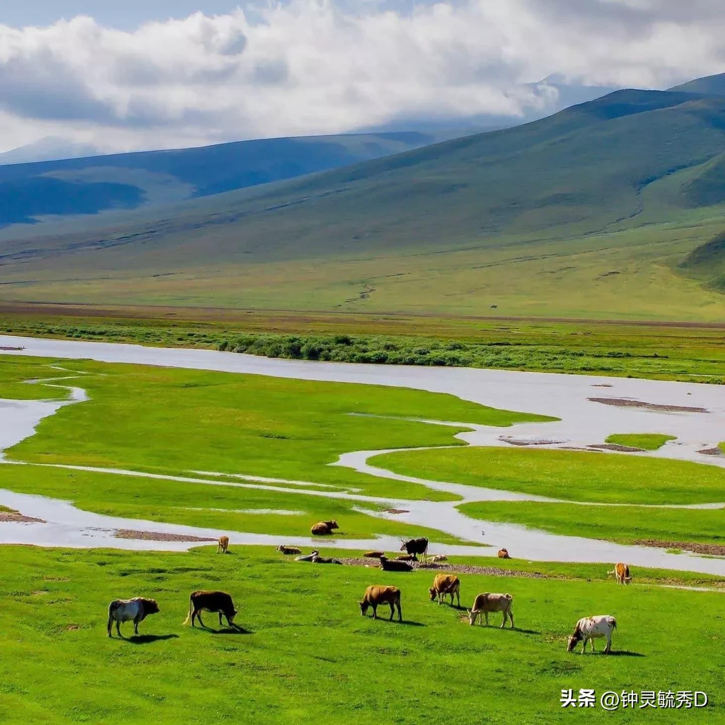 俄连续3周涉日表态,俄日最新消息2小时前 俄连续3周涉日表态,俄日最新消息2小时前