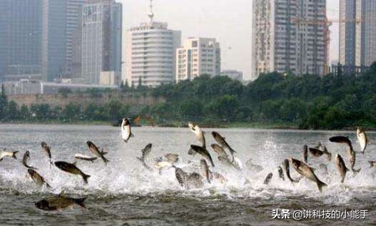 台海域发生5.1级地震,台海域发生5.1级地震的原因 台海域发生5.1级地震,台海域发生5.1级地震的原因