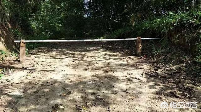 村民修路遭老人破坏,村民修路遭老人破坏怎么办 村民修路遭老人破坏,村民修路遭老人破坏怎么办