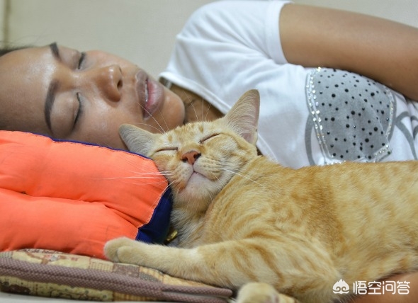 老师当学生面踩死猫,老师踩学生脸 老师当学生面踩死猫,老师踩学生脸