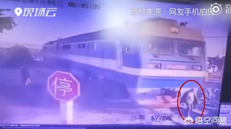 老人险遭货车碾压,老人险遭货车碾压怎么赔偿 老人险遭货车碾压,老人险遭货车碾压怎么赔偿