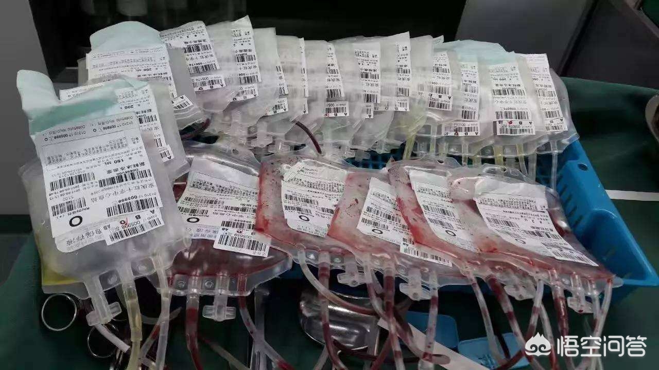 看教程做手术致死亡,做手术导致死亡 看教程做手术致死亡,做手术导致死亡