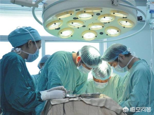 看教程做手术致死亡,做手术导致死亡 看教程做手术致死亡,做手术导致死亡