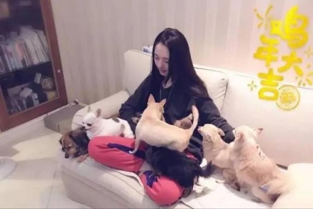 郭碧婷谈与向佐分居，郭碧婷谈与向佐分居的事情