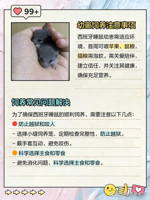 被窝钻进30厘米老鼠，被窝钻进30厘米老鼠会死吗