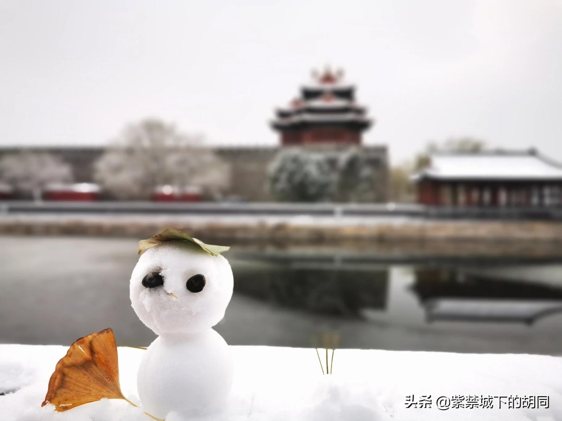 北京明天迎初雪,北京明天迎初雪图片 北京明天迎初雪,北京明天迎初雪图片