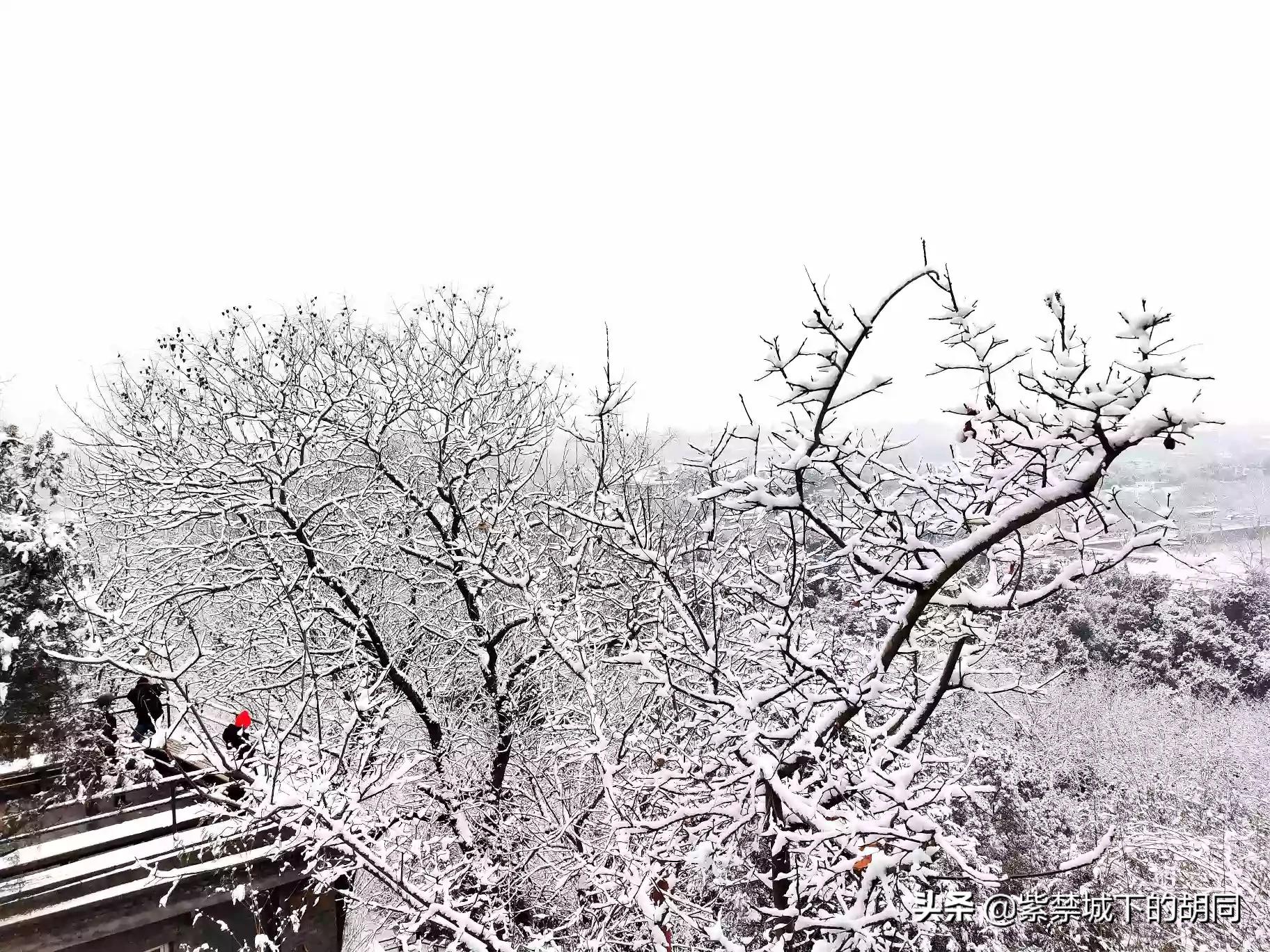 北京明天迎初雪,北京明天迎初雪图片 北京明天迎初雪,北京明天迎初雪图片