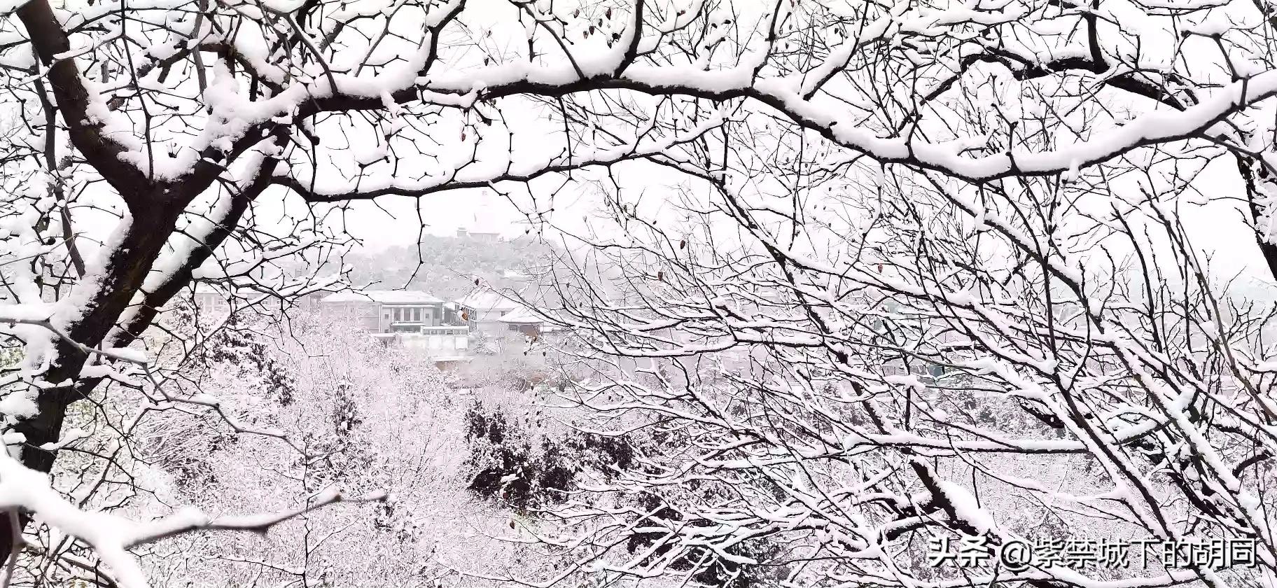 北京明天迎初雪,北京明天迎初雪图片 北京明天迎初雪,北京明天迎初雪图片