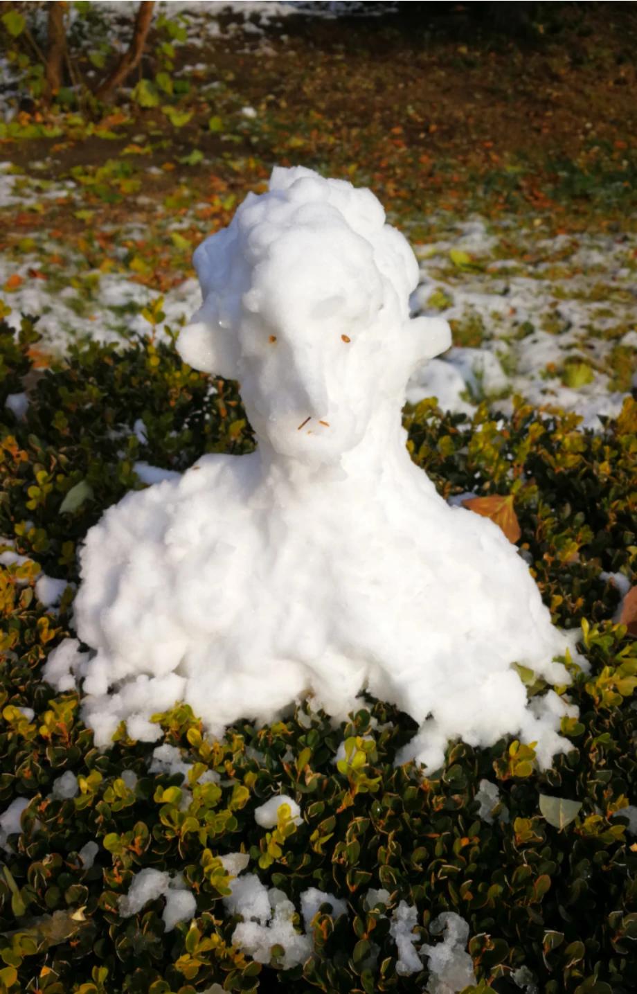 北京明天迎初雪,北京明天迎初雪图片 北京明天迎初雪,北京明天迎初雪图片