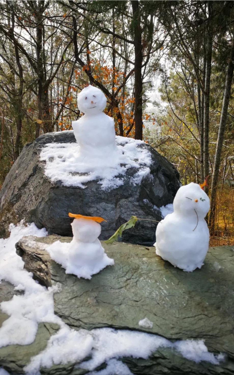 北京明天迎初雪,北京明天迎初雪图片 北京明天迎初雪,北京明天迎初雪图片