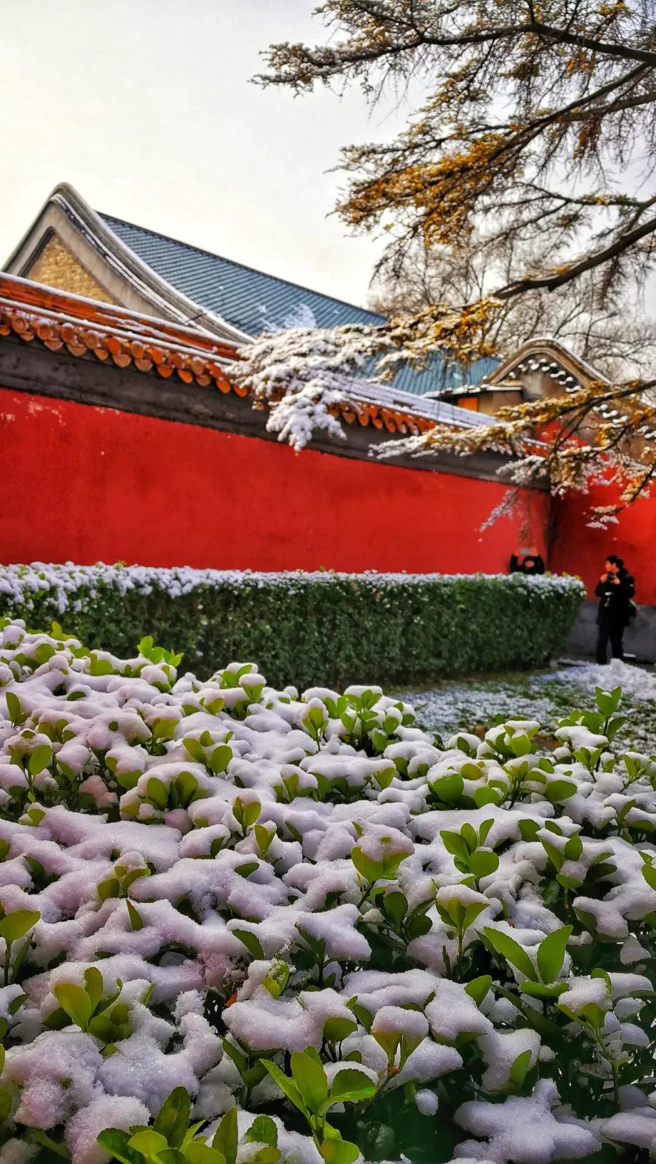 北京明天迎初雪,北京明天迎初雪图片 北京明天迎初雪,北京明天迎初雪图片