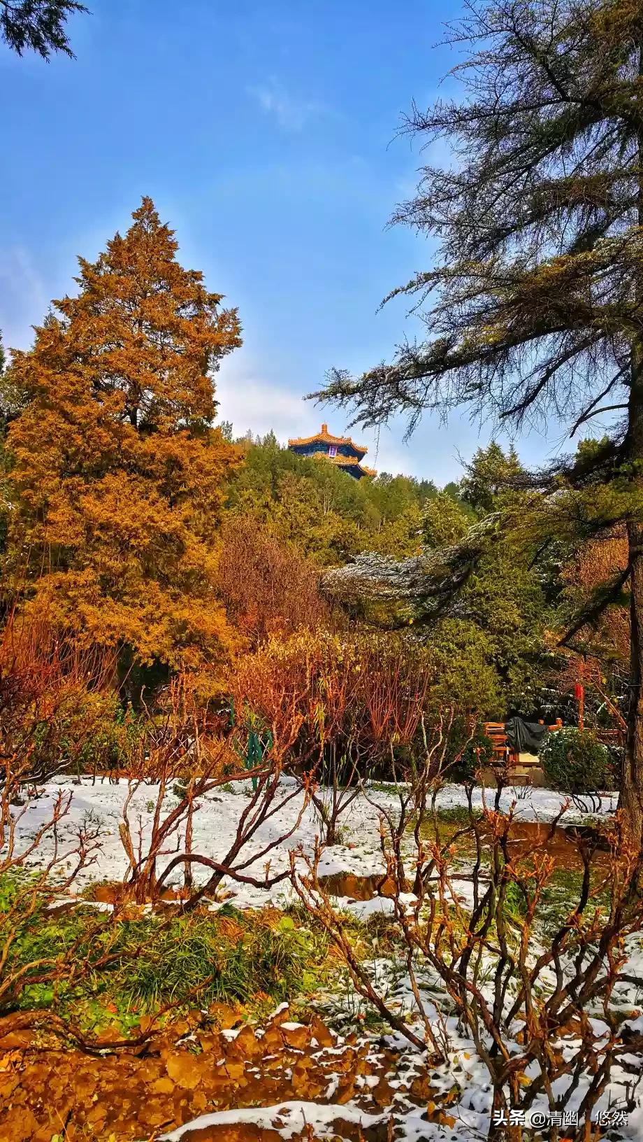 北京明天迎初雪,北京明天迎初雪图片 北京明天迎初雪,北京明天迎初雪图片